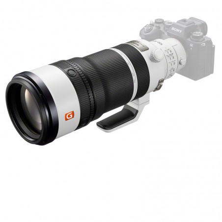 Sony FE 100-400 mm F4.5 GM OSS