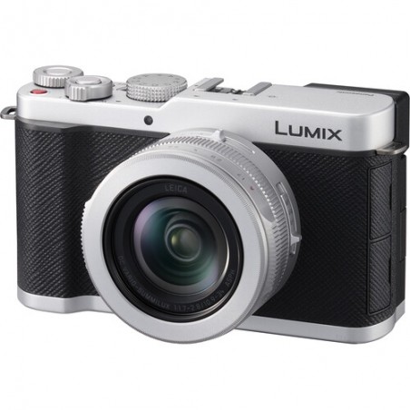 Panasonic Lumix L10 PLATA