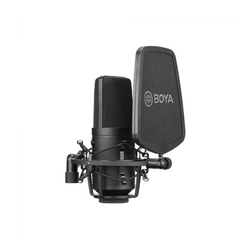 Boya BY-M800 Micrófono Condensador Cardioide XLR para Estudio, Radio o  Podcast